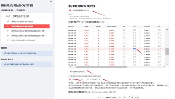 链上期权Rysk平台收益界面截图,包含金库策略和年化收益率显示