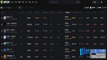 GMGN查看Meme币持仓分布界面截图,包含前十大持有人占比数据