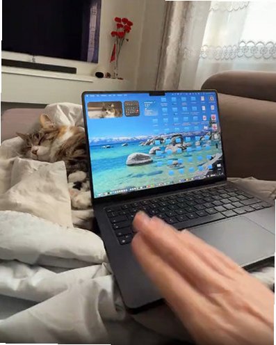 SlapMac Mac版 趣味整活娱乐软件截图0