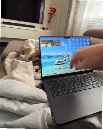 SlapMac Mac版 趣味整活娱乐软件截图2
