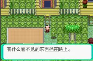 口袋妖怪漆黑的魅影5.0