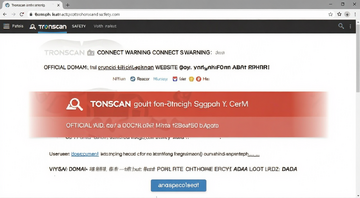 TronScan安全提示页面截图,显示连接钱包警告和官方域名,用于提醒用户防范钓鱼网站