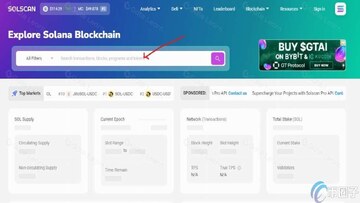 Solscan搜索框查询钱包地址界面,关键词Solscan使用方法