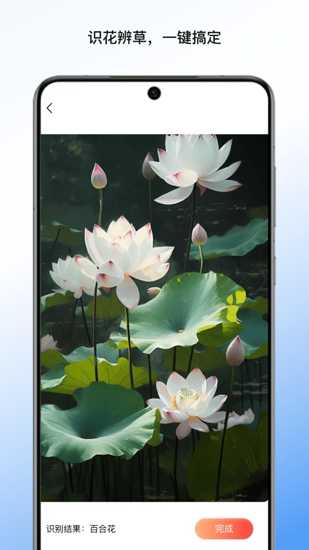 书墨文档助手v1.19 安卓版截图2