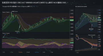 加密货币RSI指针完整指南比特币与山寨币动能解析示意图,画面中央是比特币K线图叠加RSI指标曲线,旁边有山寨币走势对比,文字标注超买超卖区域和背离信号,风格简洁专业