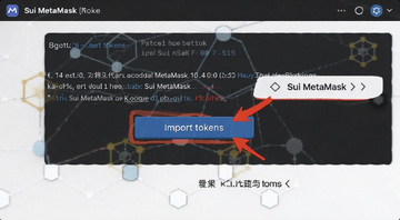 Sui MetaMaskǮ��������Һ�Լ��ַ������ͼ,�ؼ�����ν�Sui����Sui MetaMaskǮ��,ͼ�б�עImport tokens��ťλ��