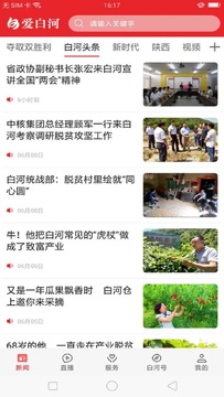 爱白河安卓版功能展示