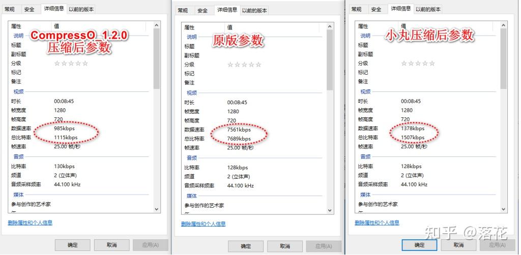 Compresto Mac版 本地批量媒体压缩工具 视频压缩参数设置界面