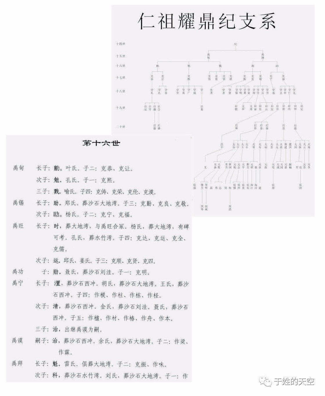 ���������� ������ʶ����ŵ�������