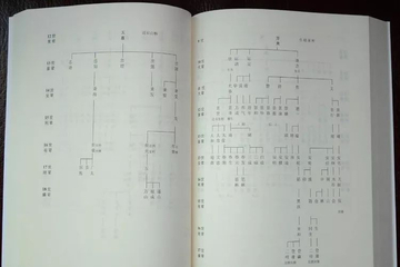 谱算子族谱 家族世系查询与字辈传承方法图解
