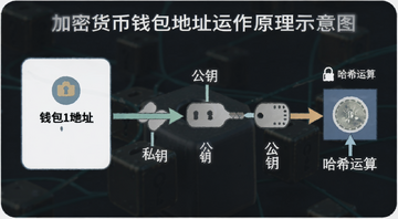 加密货币钱包地址运作原理示意图,包含区块链、公钥、私钥、地址生成等关键词,图中用中文标注“钱包地址”“私钥”“公钥”“哈希运算”