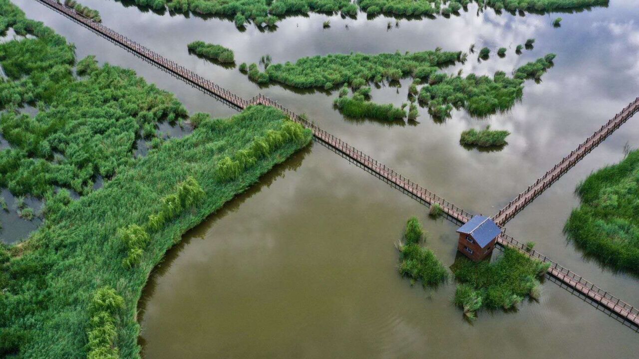 云上封丘线上全景漫游截图 陈桥驿青龙湖画面