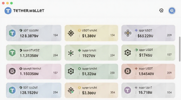 Tether钱包多链资产总览界面,tether.wallet显示不同链上USDT余额