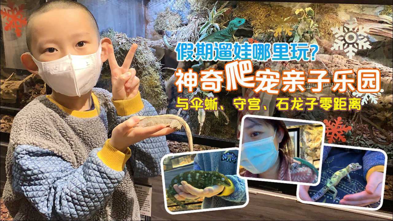 乐园奇遇记亲子游玩攻略必看 带娃实测全流程分享