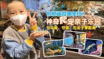 乐园奇遇记亲子游玩攻略必看 带娃实测全流程分享