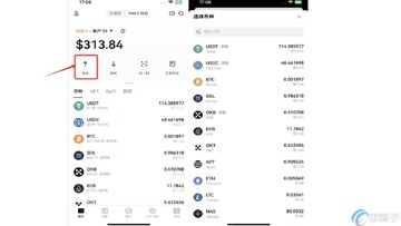 币安钱包资产提现页面截图,展示USDT提现到交易所的流程