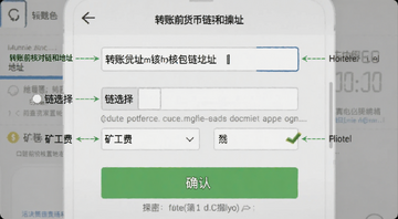 加密货币钱包转账操作界面示意图,图中标注地址栏、链选择、矿工费设置和确认按钮,文字注明“转账前核对链和地址”