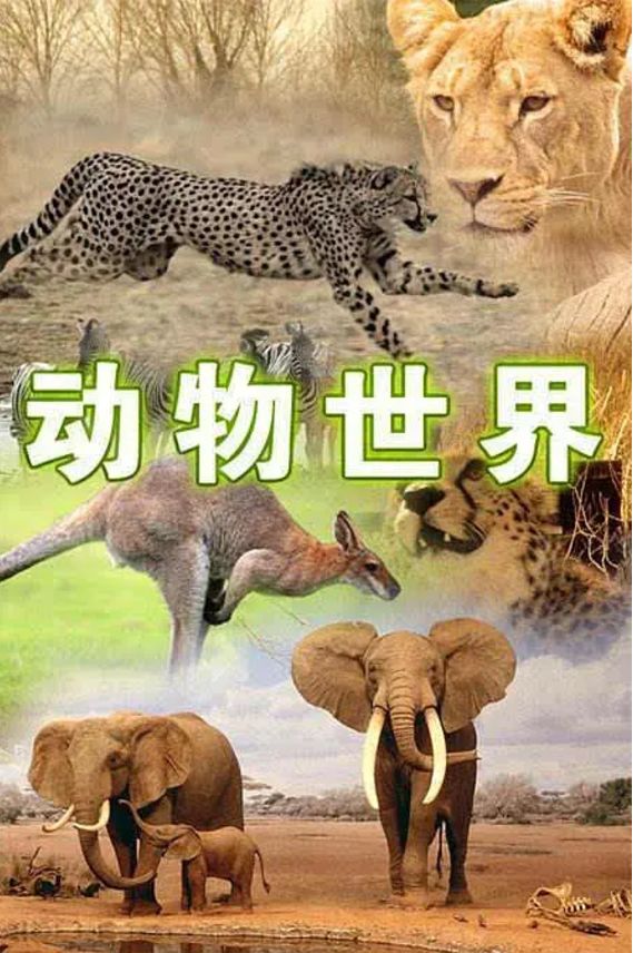 动物世界对决高清纪录片推荐合集