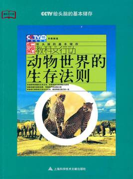 动物世界对决猛兽生存法则深度解读