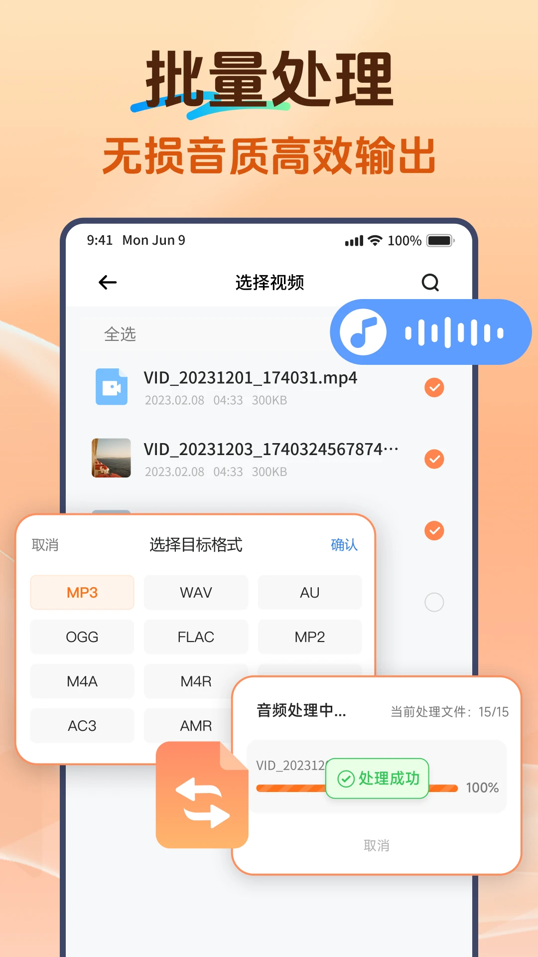 Viwoo音频格式转换器v2.2.3安卓版截图3
