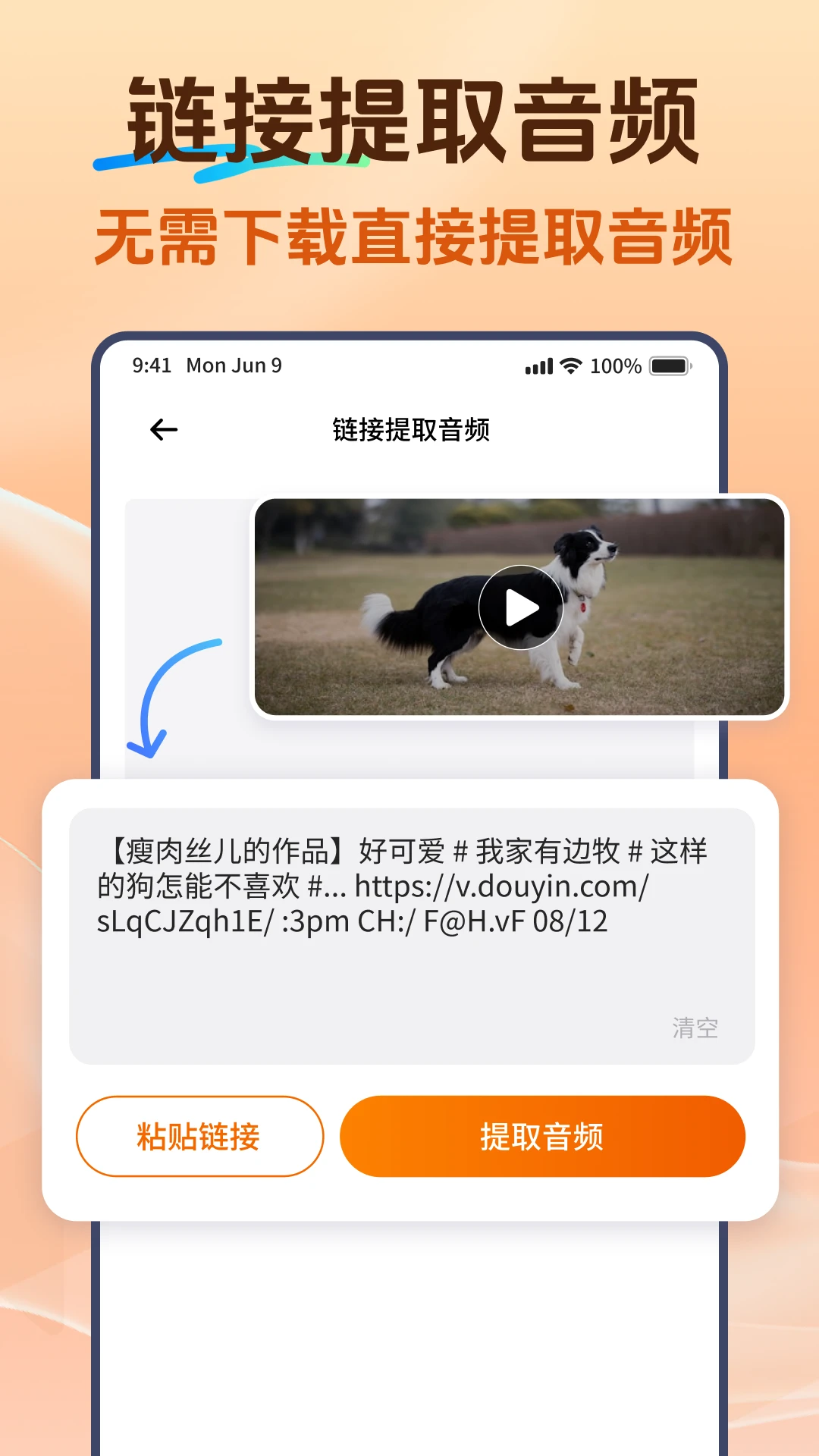 Viwoo音频格式转换器v2.2.3安卓版截图2