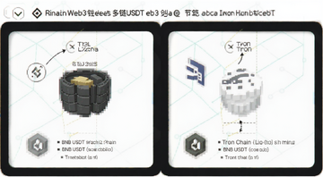 币安Web3钱包 多链USDT地址对比示意图 标注BNB Chain和Tron