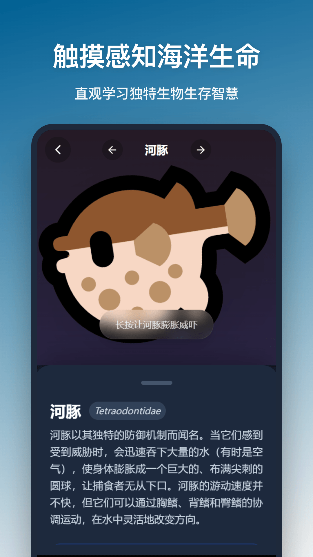 海洋馆手机版下载官方版 游戏闪退报错提示画面