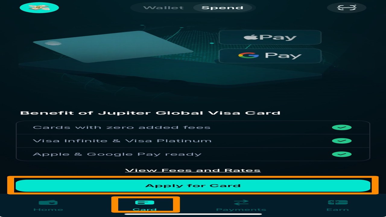 Jupiter Card非托管Visa安全性与授权管理设置页面
