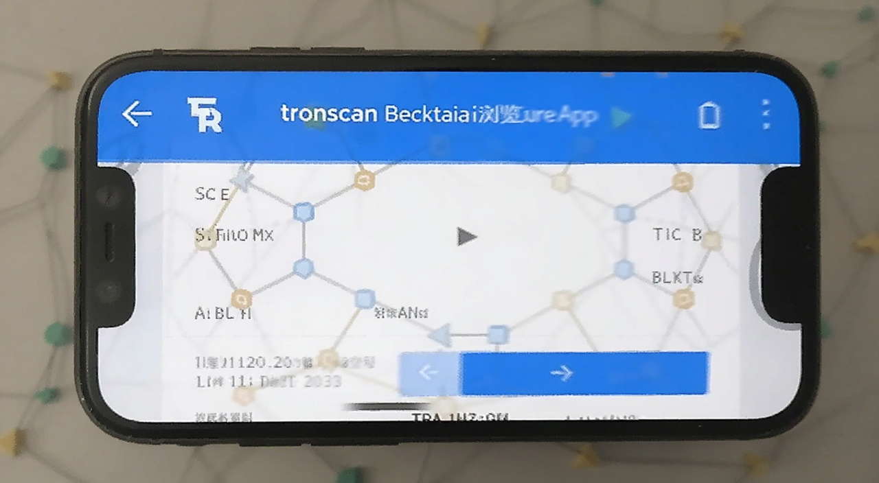 Tronscan区块链浏览器App版本界面截图,展示手机端查询TRX交易操作