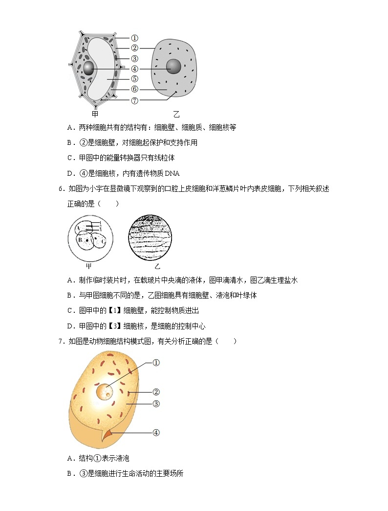 初中生物细胞结构记忆口诀图解