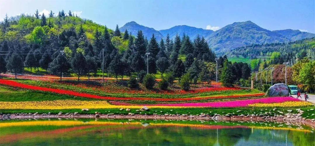 爱周至 秦岭国家植物园花海景色