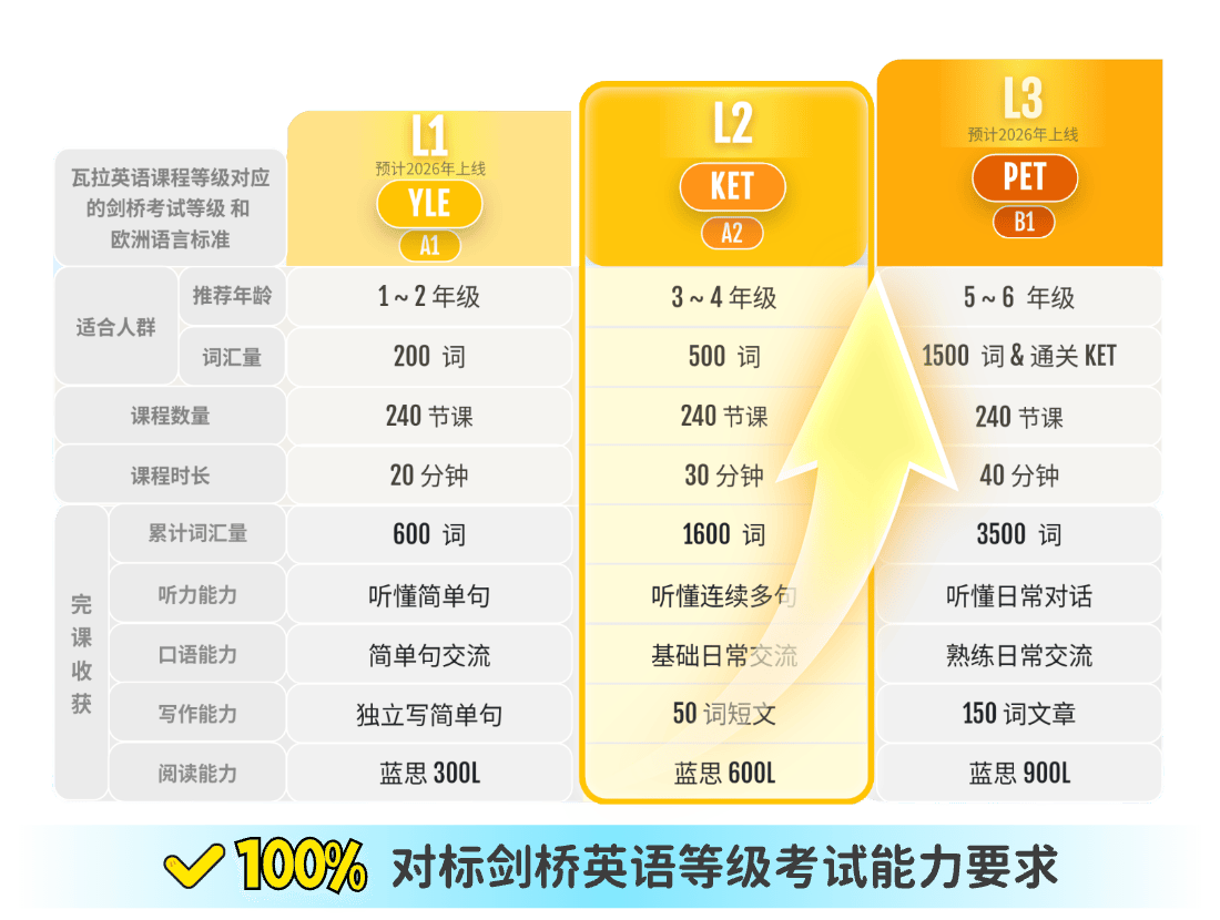瓦拉英语学习效果前后对比真实反馈