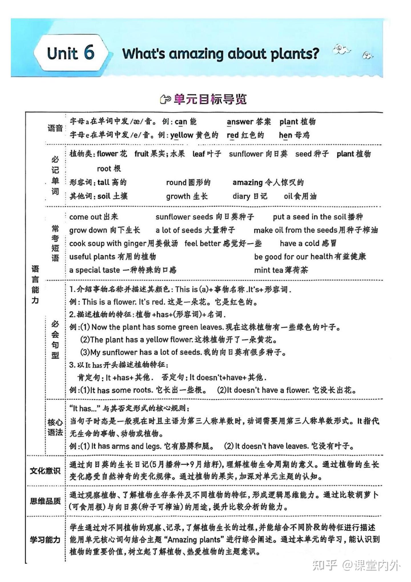 译林牛津英语四上册单元知识点汇总 四年级英语复习配图