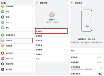 智慧小沃语音助手官方版 安装权限设置界面