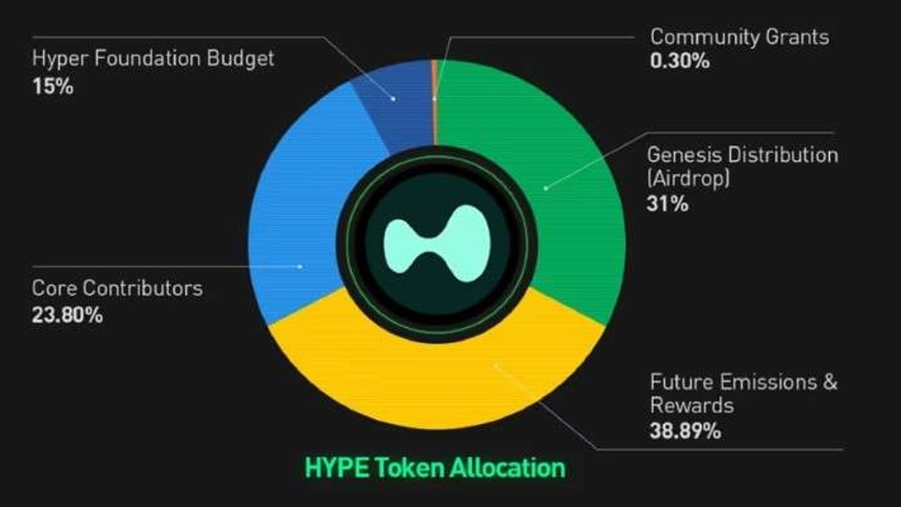 hype代币经济学相关图表或代币分配饼图