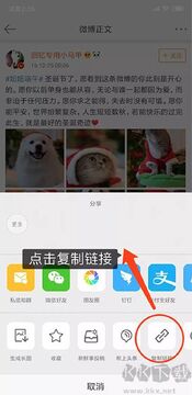 便捷下载官方版app最新版 解析失败解决 下载速度优化 操作界面