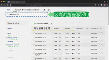 区块浏览器查询界面截图,浏览器页面显示搜索框和最新区块列表,标注输入地址或交易哈希的位置,关键词包含区块浏览器怎么用