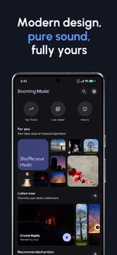 BoomingMusic软件安卓最新版版本选择与适配说明配图
