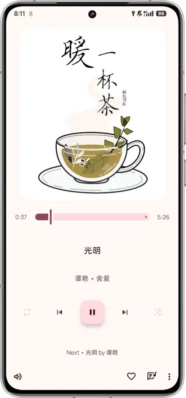 BoomingMusic软件安卓最新版安装权限设置截图配图