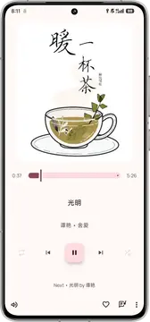 BoomingMusic软件安卓最新版安装权限设置截图配图
