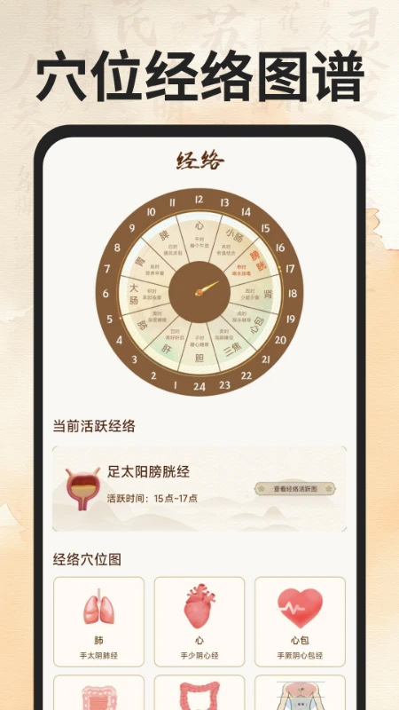 穴位经络图谱最新版v1.0.5安卓版截图0