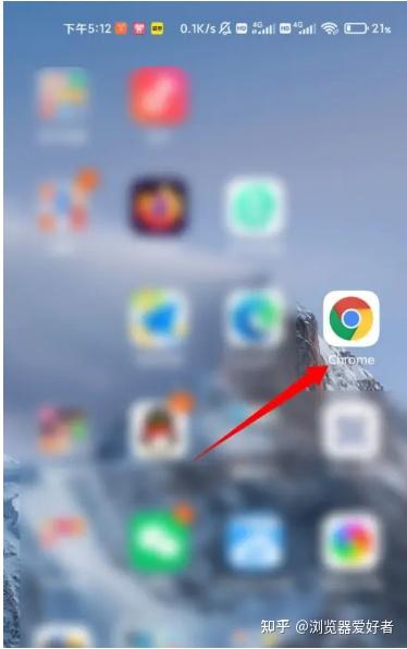 chore浏览器app下载最新版 安卓手机安装步骤截图