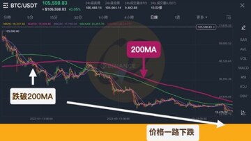 2026年币圈新手词汇表 加密货币术语指南 牛市熊市周期图