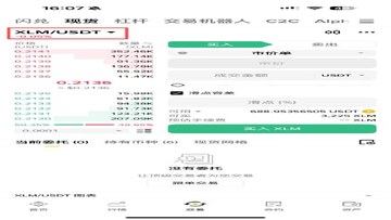 Stellar XLM巨鲸地址转账记录截图,关键词Stellar XLM 前120名持有者 链上数据
