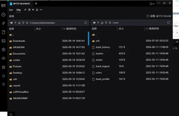 Electerm(跨平台SSH桌面终端工具)电脑版截图4