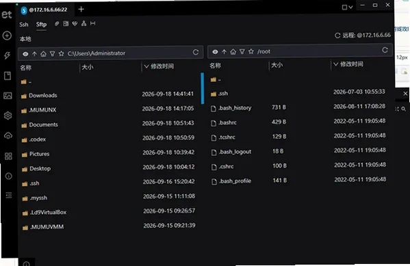 Electerm终端模拟器截图4