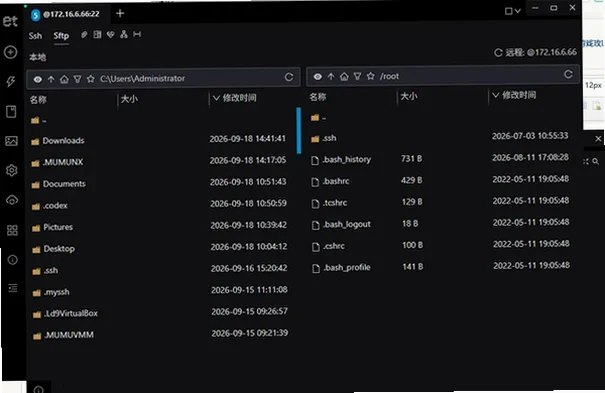 Electerm电脑版桌面终端截图4