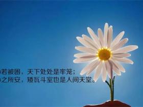 文案语录大全短句合集治愈走心 朋友圈配图