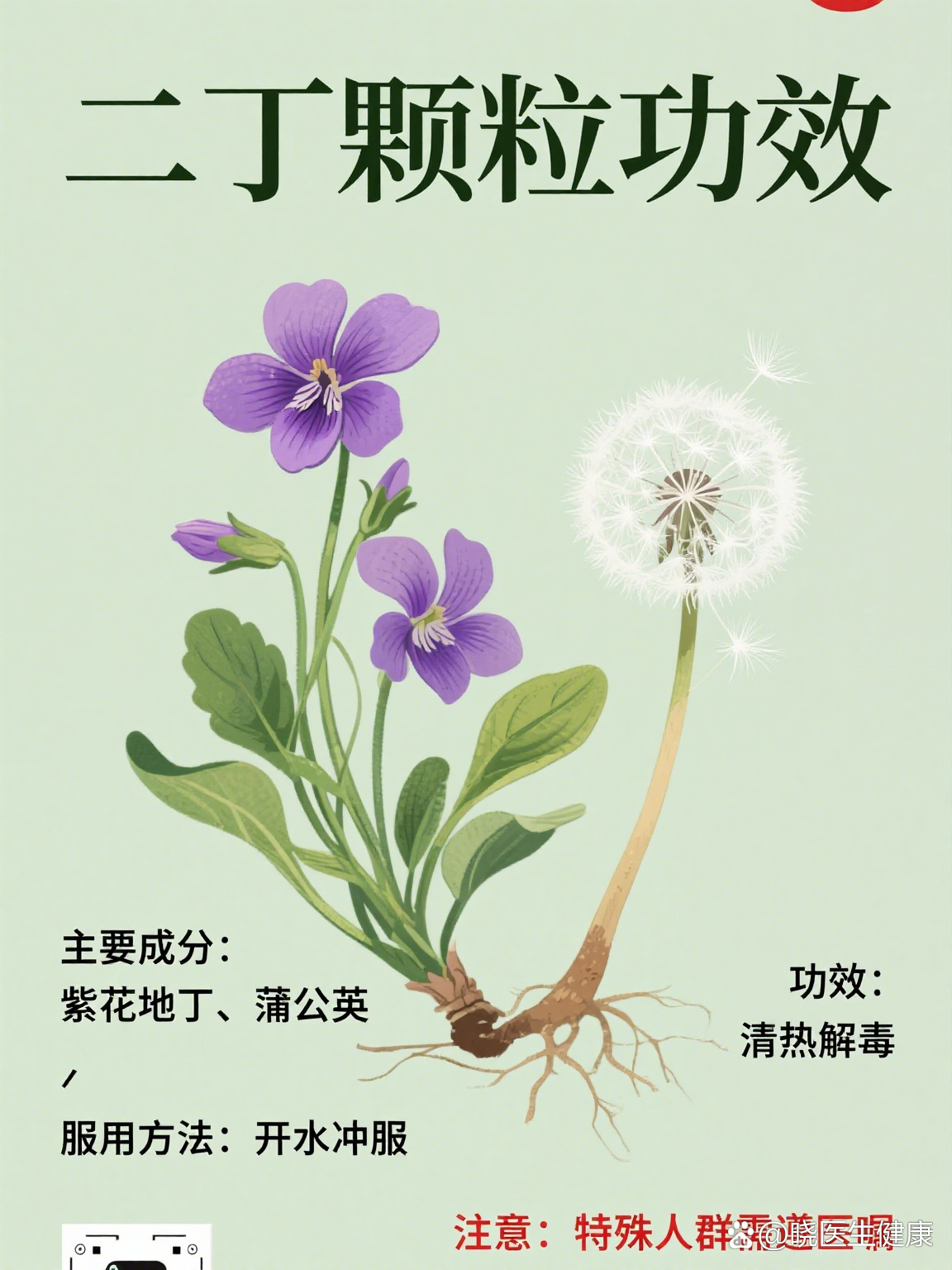 药丁是什么药功效与作用说明书及禁忌人群全解析
