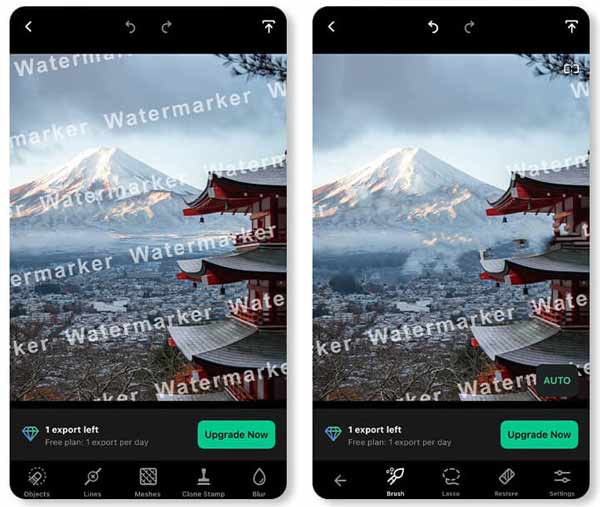 TouchRetouch for Mac(抠图大师)去水印前后对比效果图